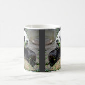 Mug Panda géant mangeant du bambou (Centre)