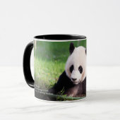 Mug Panda géant Mei Xiang (Devant gauche)