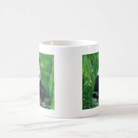 Mug Panda Manger Feuilles (Centre)