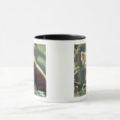 Mug Panda roux Ailurus fulgens) (Centre)