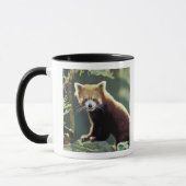 Mug Panda roux Ailurus fulgens) (Gauche)