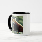 Mug Panda roux Ailurus fulgens) (Devant gauche)