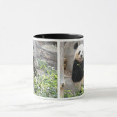Mug Panda Snack (Centre)