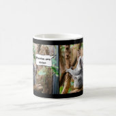 Mug Pandas ou Koalas - Qui sont plus mignons ? (Centre)