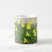 Mug Panoramique Daffodil Fleurs (Centre)