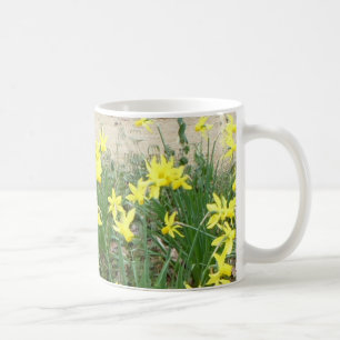 Mug Panoramique Daffodil Fleurs
