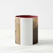 Mug Pantanal, Brésil, Capybara, Hydrochoerus (Centre)