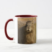 Mug Pantanal, Brésil, Capybara, Hydrochoerus (Gauche)