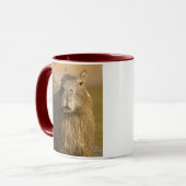 Mug Pantanal, Brésil, Capybara, Hydrochoerus (Devant gauche)