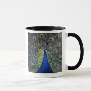 Mug Paon