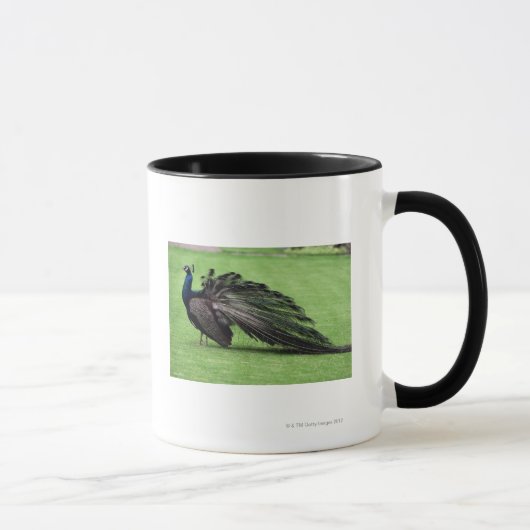 Mug Paon dans le domaine (Droite)