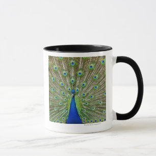 Mug Paon montrant ses plumes, en tant qu'élément d'a