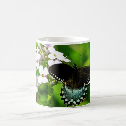 Mug Papillon (Centre)