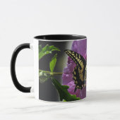Mug - Papillon à queue noire sur la fleur (Gauche)