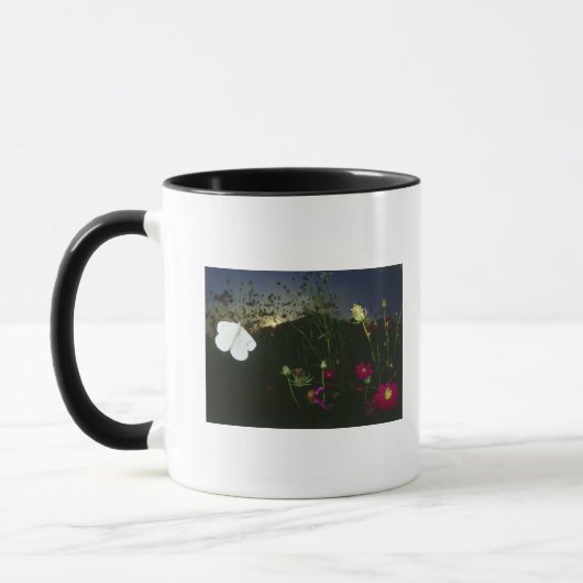 Mug Papillon blanc en vol au coucher du soleil (Gauche)