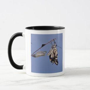 Mug Papillon de machaon après métamorphose