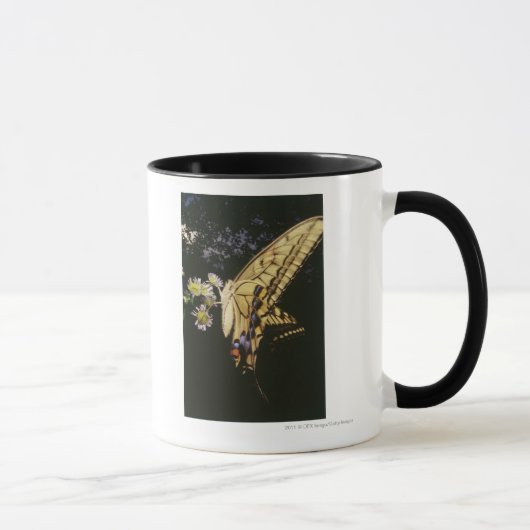 Mug Papillon de machaon sur la fleur, fin (Droite)