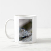 Mug Papillon Gris Bleu (Gauche)