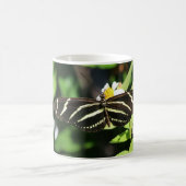 Mug Papillon Heliconius charithonia (Centre)