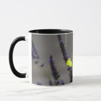 Mug Papillon Jaune sur Lavande Violette Photo Macro
