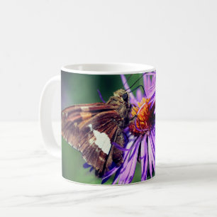 Mug Papillon Lady Peint Sur Fleur Aster Sauvage