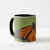 Mug Papillon monarque mâle sur Asclépiade incarnate (Devant gauche)