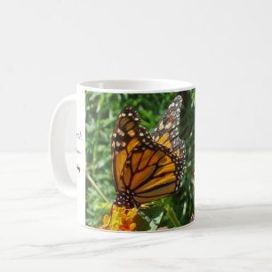 Mug Papillon Monarque Photo Tôt le matin Motivationnel