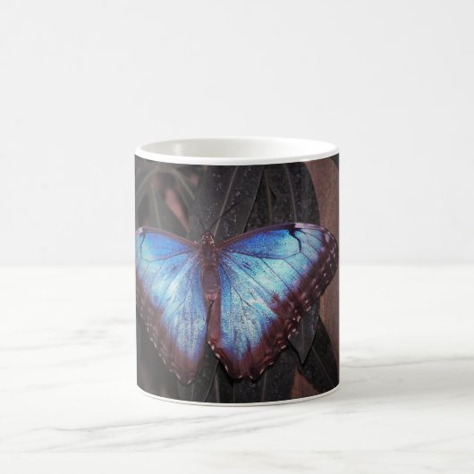Mug Papillon morpho commun (Centre)