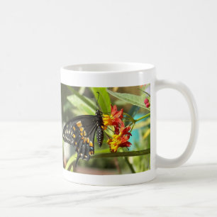 Mug Papillon noir à queue noire #2-mug