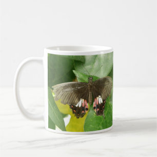 Mug Papillon Queue Rouge Écarlate