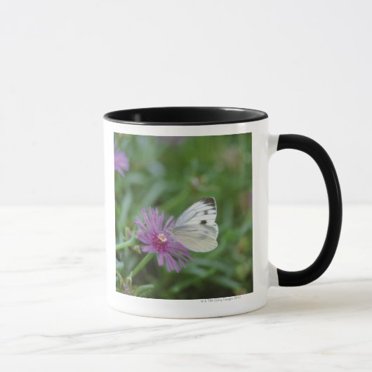 Mug Papillon sur la fleur (Droite)