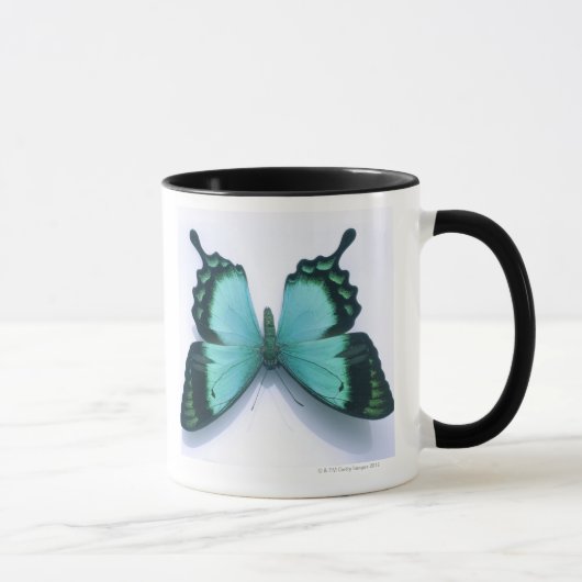 Mug Papillon sur le blanc (Droite)