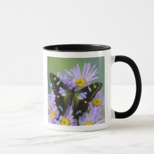 Mug Papillon sur Violet
