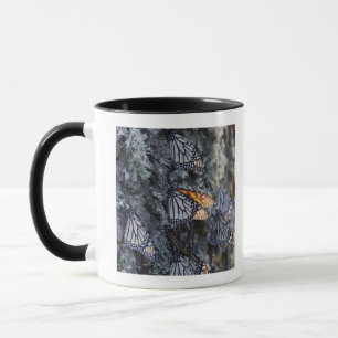 Mug Papillons de monarque sur le pin, sierra Chincua 2