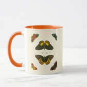 Mug Papillons lumineux par Pieter Cramer (Gauche)