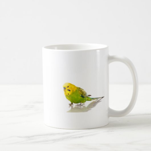 Mug parakeet, (Droite)