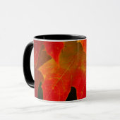 Mug Parc d'État d'Itasca, couleurs d'automne 2 (Devant gauche)