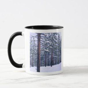Mug PARC D'ÉTAT DU LAC TAHOE, NEVADA. ÉTATS-UNIS. Neig