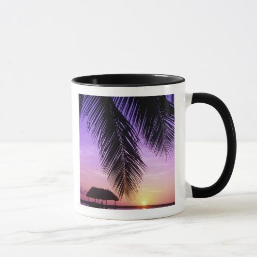 Mug Parc d'État John Pennekamp, Florida Keys, Key (Droite)