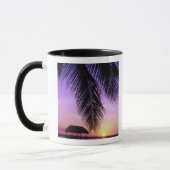 Mug Parc d'État John Pennekamp, Florida Keys, Key (Gauche)