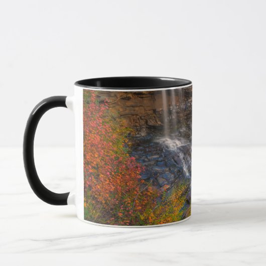 Mug Parc national de Blackwater Falls | Virginie occid (Gauche)