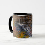 Mug Parc national de Blackwater Falls | Virginie occid (Devant gauche)