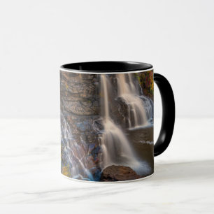 Mug Parc national de Blackwater Falls   Virginie occid