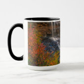 Mug Parc national de Blackwater Falls | Virginie occid (Gauche)