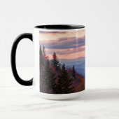 Mug Parc national de Great Smoky Mountain (Gauche)