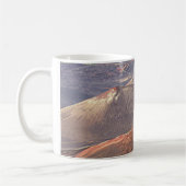 MUG PARC NATIONAL DE HALEAKALA - HAWAII ÉTATS-UNIS (Gauche)