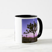 Mug PARC NATIONAL DE JOSHUA TREE, CALIFORNIE.États-Uni (Devant droit)