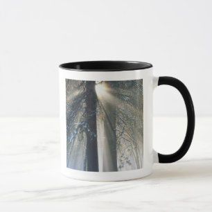 Mug Parc national de Yosemite - Retransmission des ray