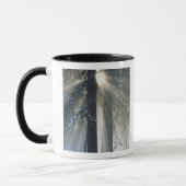 Mug Parc national de Yosemite - Retransmission des ray (Gauche)