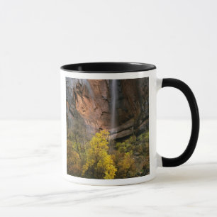Mug Parc national de Zion, Utah.États-Unis Éphémèr